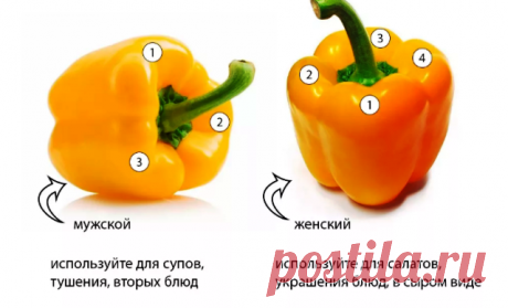 Супер-пупер перец на зиму. | Дача лентяйки. | Яндекс Дзен
