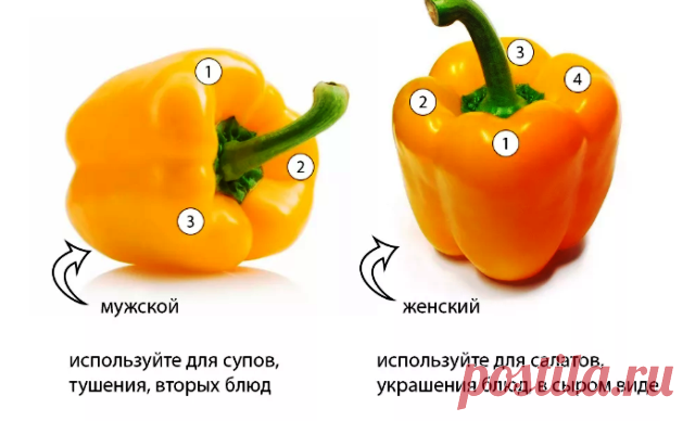 Супер-пупер перец на зиму. | Дача лентяйки. | Яндекс Дзен