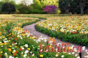 Прямой эфир - обои на рабочий стол, которые смотрят и ищут сегодня