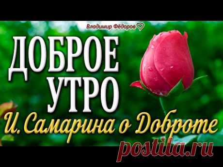 Очень Трогательный Стих о Доброте! Автор: Ирина Самарина - Лабиринт / Читает Владимир Фёдоров