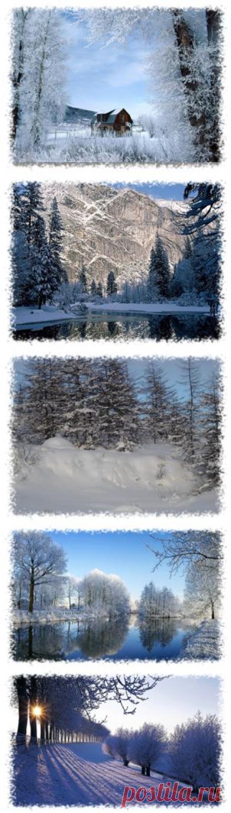 nimfea180776 — альбом «Мои работы / Мой клипарт / Природа. Зима PNG» на Яндекс.Фотках