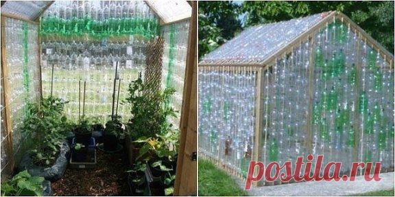 Теплицы из пластиковых бутылок. Несколько идей