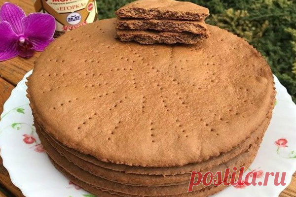 Коржи для торта - Кулинарная страница

С этим тестом работать одно удовольствие. Оно мягкое и податливое. И посмотрите на цвет, коржи не темные, а янтарно — золотистые.