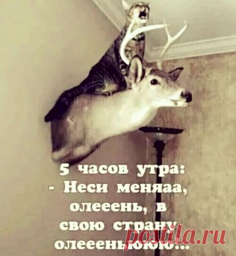 5df5fb1a.jpg (828×899)