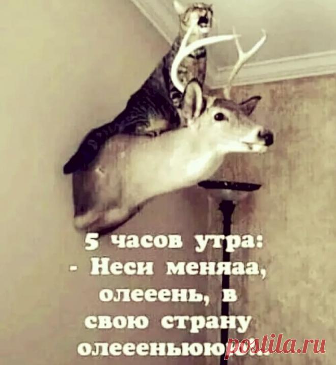 5df5fb1a.jpg (828×899)