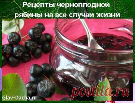 Рецепты черноплодной рябины на зиму - компот, наливка, аджика
