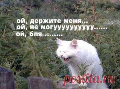 (7) Facebook