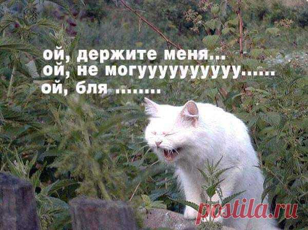 (7) Facebook