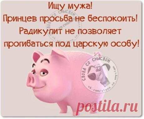 Самые меткие фразы