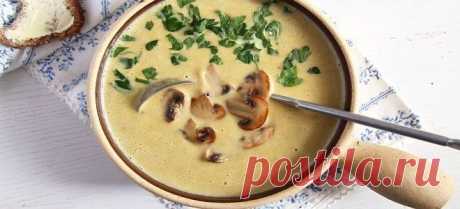 Сырный суп с шампиньонами - вкуснейшее первое блюдо на каждый день!