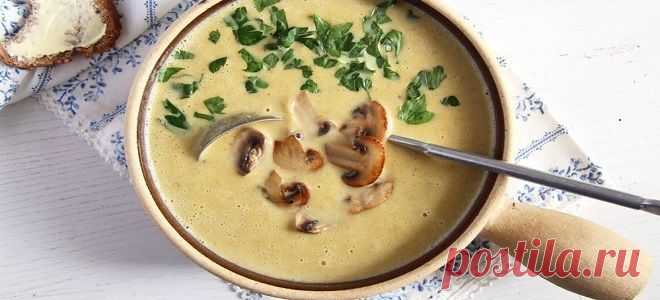 Сырный суп с шампиньонами - вкуснейшее первое блюдо на каждый день!