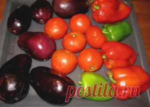 Теплый салат к шашлыку - Салаты, закуски к шашлыку .