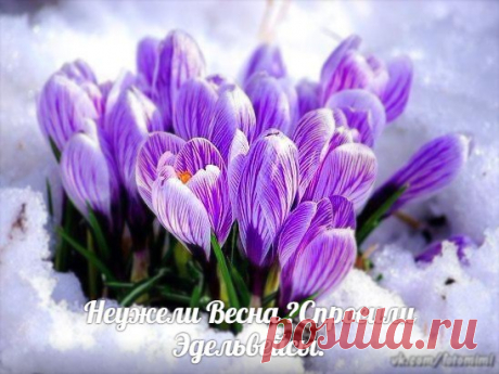 Всё сказано