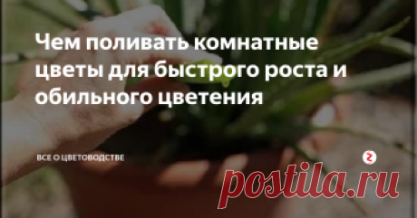 Чем поливать комнатные цветы для быстрого роста и обильного цветения Растение нужно подкармливать на постоянной основе и лучше прибегать именно к натуральным вариантам, которые самостоятельно приготовить намного легче, чем кажется. 
Рассмотрим 6 примеров натуральной подкормки, которые влияют на быстрый рост и обильное цветение растений на подоконнике.