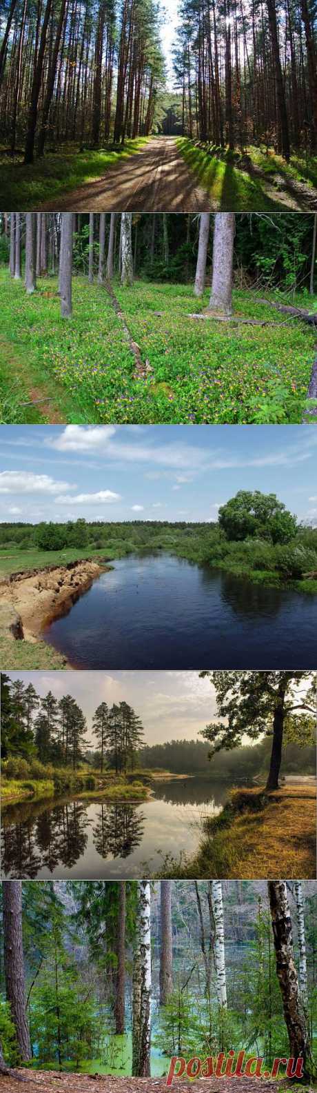 Удивительная Мещера - 4 Января 2014 - "Secret worlds"