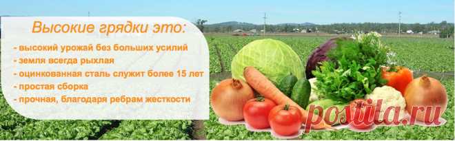 Грядки оцинкованные - купить в Москве у производителя