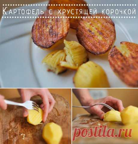 (17) Кукорама