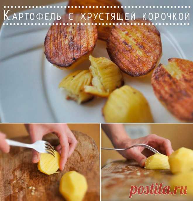 (17) Кукорама