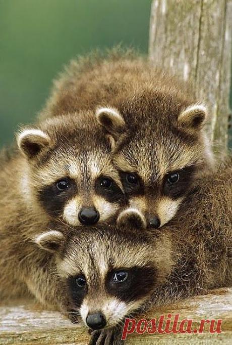 Мой Мир@Mail.Ru