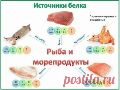 Источники белка. В каких продуктах - сколько.