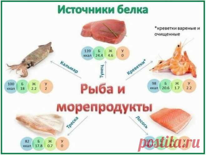 Источники белка. В каких продуктах - сколько.