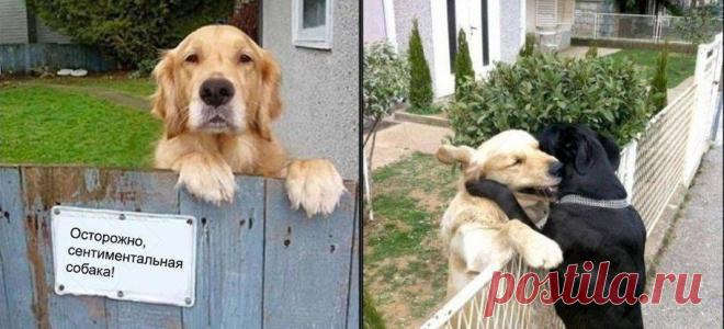 Психология отношений | Группы Мой Мир