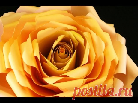 Paper rose backdrop tutorial Lesson 5 DIY project
