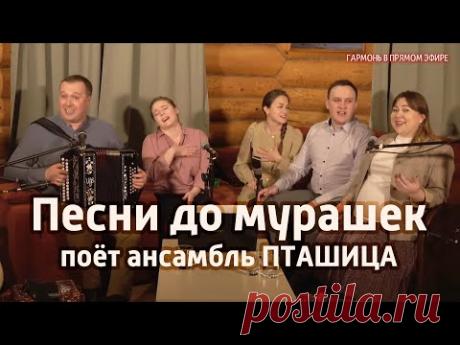 Гармонь в прямом эфире (28) – долгожданная встреча с ансамблем ПТАШИЦА!