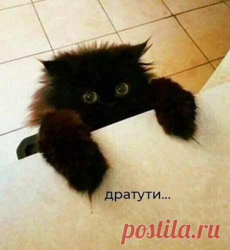 Скоро вырасту