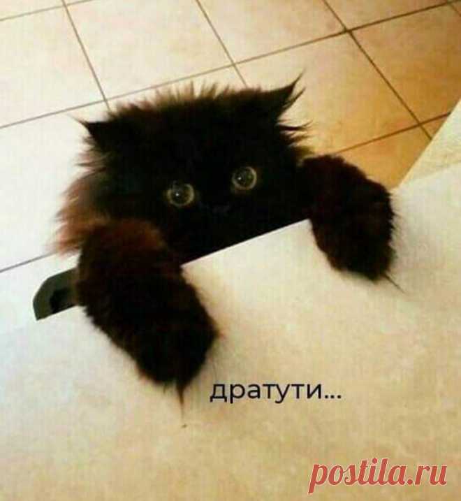 Скоро вырасту