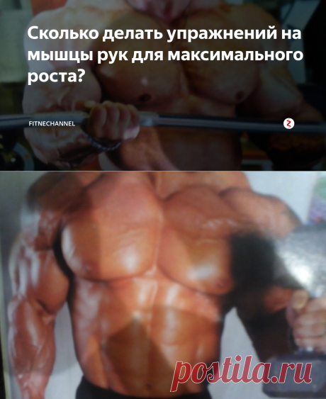 Сколько делать упражнений на мышцы рук для максимального роста? | fitnechannel | Яндекс Дзен
