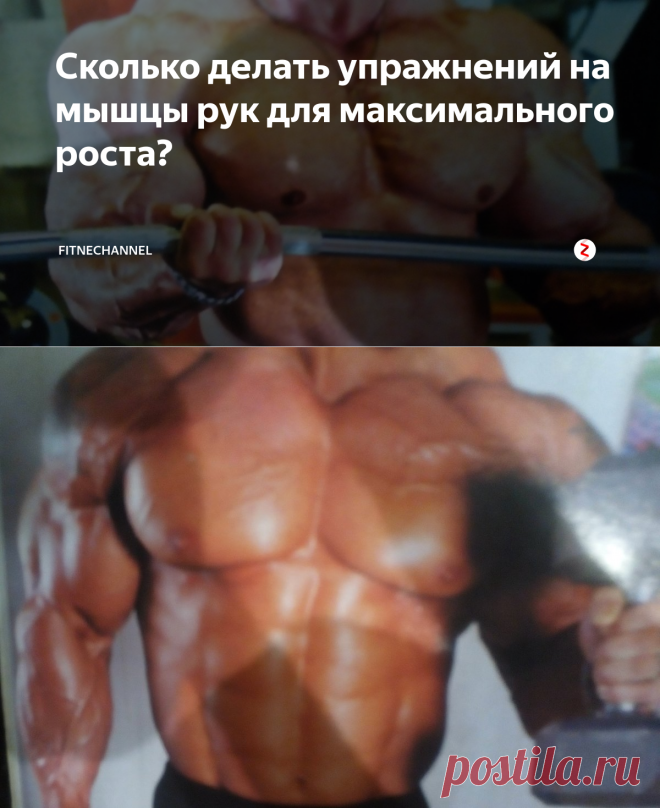 Сколько делать упражнений на мышцы рук для максимального роста? | fitnechannel | Яндекс Дзен