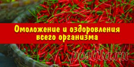 Омоложение и оздоровления всего организма | Полезные советы