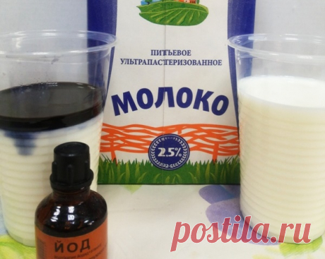 Опрыскивание огурцов молоком с йодом: зачем и как, применение для подкормки и защиты от болезней и вредителей