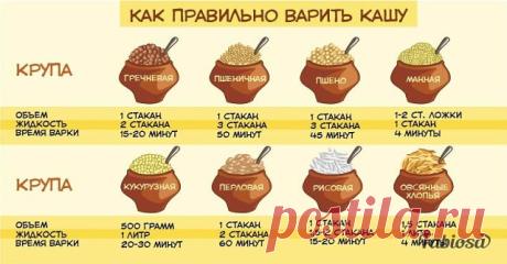 Секреты повара о кашах
1. Особенно про рисовую молочную кашу хочу, наконец, рассказать. Почему она дома такой как в садике не получается. Потому что там кашу варили так: В кипящее молоко добавляли сахар-соль и всыпали рис. Доводили до кипения (если объем небольшой, то кипятили минуту от силы) и снимали с плиты. Добавляли масло и накрывали крышкой. Минут через 20-30 рис сам достаточно разбухал. Окончательно он доходил уже на мармите. 
2. Если хотите дома приготовить нормаль...