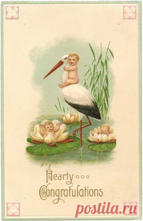 Cute Vintage Stork Card with Babies