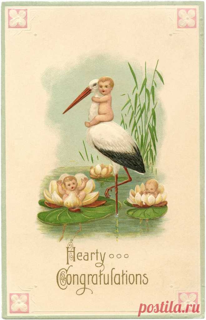 Cute Vintage Stork Card with Babies