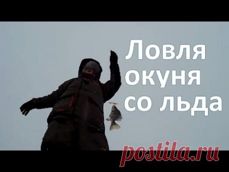 Ловим окуня со льда