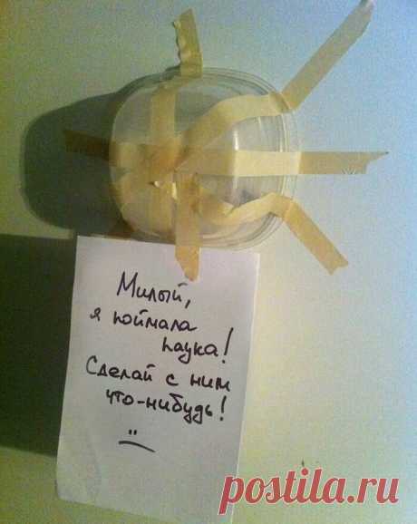 Уникальная женская логика, которая вас удивит