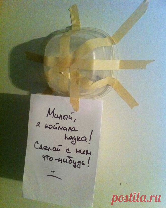 Уникальная женская логика, которая вас удивит