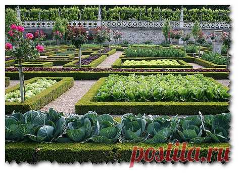 Семена почтой — экономия времени и средств | Эфария