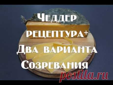 Сыр Чеддер в домашних условиях . Два варианта созревания