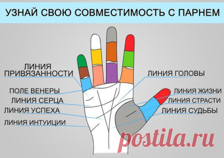 Изучаем линии на руке