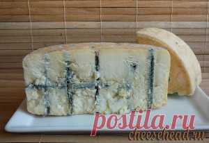 Голубой сыр из молока и ржаного хлеба - cheesehead.ru | cheesehead.ru