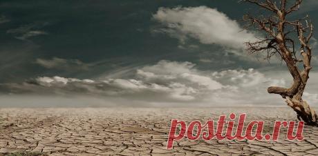 Положительные изменения, которые помогут вам изменить свою жизнь к лучшему
Необязательно быть миллионером, чтобы жить хорошо. Наше счастье может зависеть даже от самых крошечных изменений, которые мы вносим в свою жизнь ежедневно. Подобные изменения не только помогут нам стать счастливее, но и позволят нам жить с большим чувством свободы и гармонии с самими собой. Ниже вы найдете список нескольких таких изменений, которые, будучи внесены в […]
Читай дальше на сайте. Жми подробнее ➡