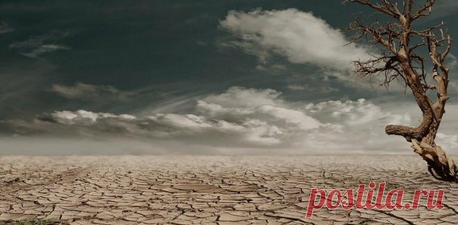 Положительные изменения, которые помогут вам изменить свою жизнь к лучшему
Необязательно быть миллионером, чтобы жить хорошо. Наше счастье может зависеть даже от самых крошечных изменений, которые мы вносим в свою жизнь ежедневно. Подобные изменения не только помогут нам стать счастливее, но и позволят нам жить с большим чувством свободы и гармонии с самими собой. Ниже вы найдете список нескольких таких изменений, которые, будучи внесены в […]
Читай дальше на сайте. Жми подробнее ➡