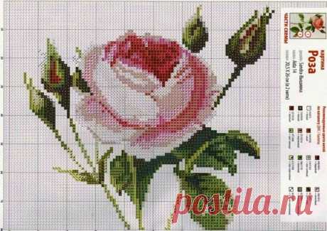 Я в восторге от этих простых схем вышивки роз при вязании спицами!  🌹😍👍
Просматривайте этот и другие пины на доске МК пользователя Svetlana.
Теги
Я в восторге от этой простой схемы вязания розы спицами!
Роза вяжется очень быстро и получается очень красивой!
Эта схема вязания роз подойдет для начинающих вязальщиц или для тех, кто любит вязать спицами.
Это не составит особого труда, зато результат порадует!
Если Вы вяжете из пряжи секционного крашения.
То можно связать розы в нескольких цветах, …