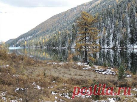 Мертвое озеро. Горный Алтай : Discover and save creative ideas