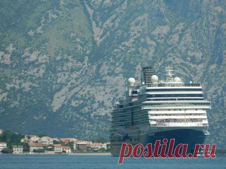Kotor