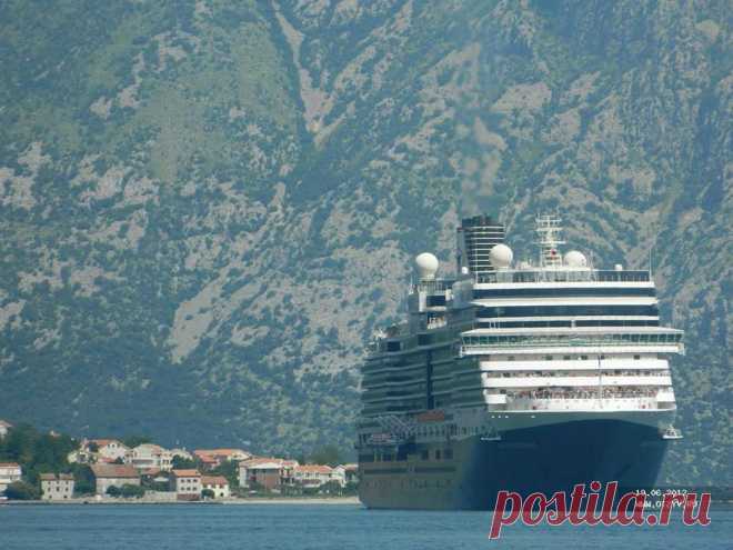 Kotor